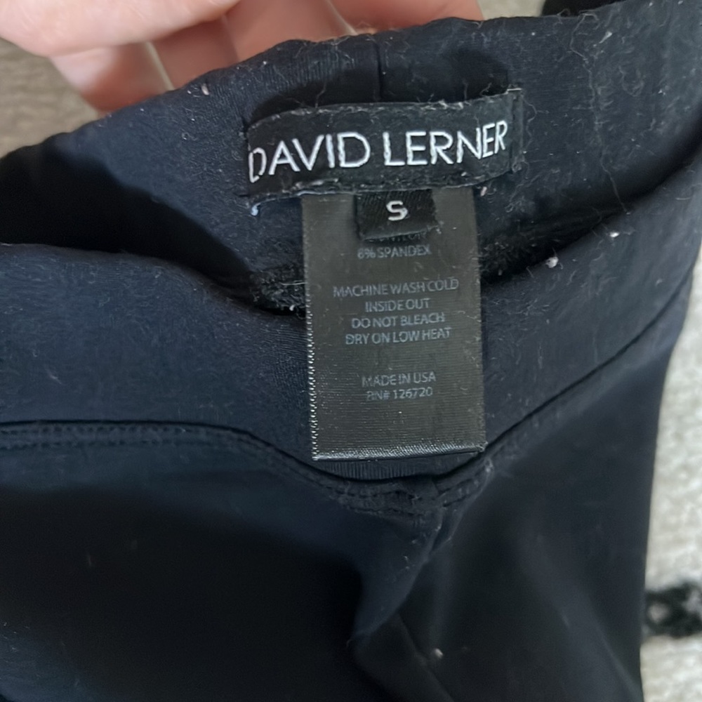 David Lerner - image 2